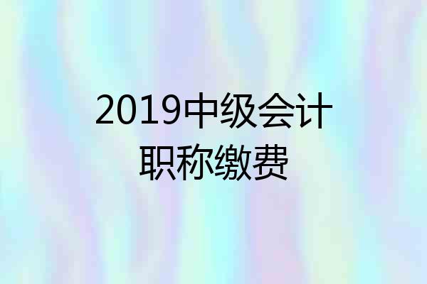 2019中级会计职称缴费