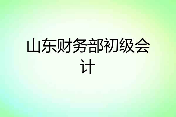 山东财务部初级会计