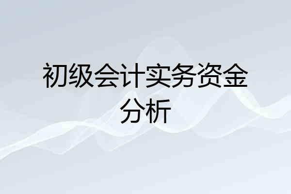 初级会计实务资金分析