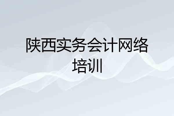陕西实务会计网络培训