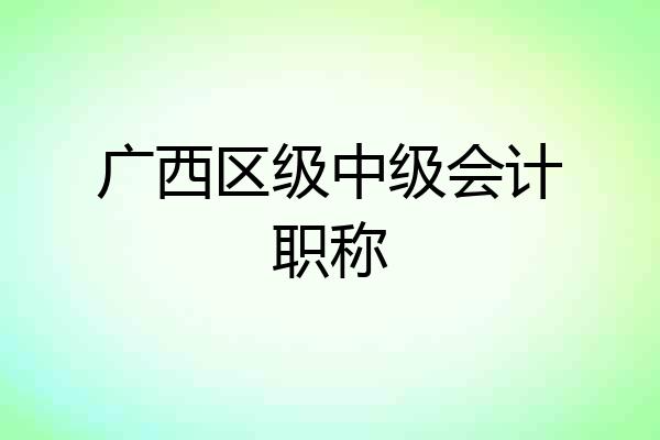 广西区级中级会计职称