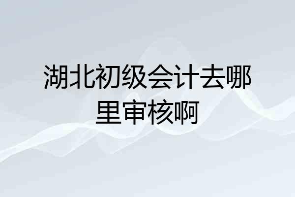 湖北初级会计去哪里审核啊