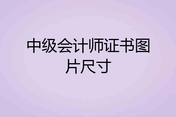 中级会计师证书图片尺寸