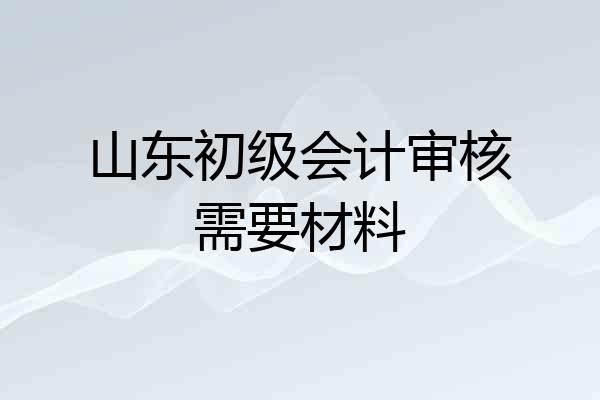 山东初级会计审核需要材料