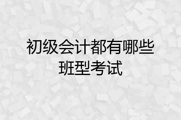 初级会计都有哪些班型考试
