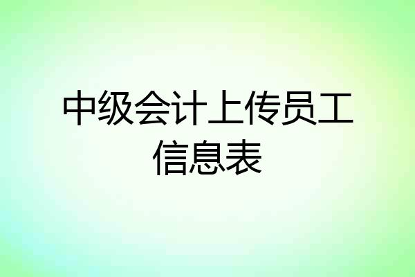 中级会计上传员工信息表