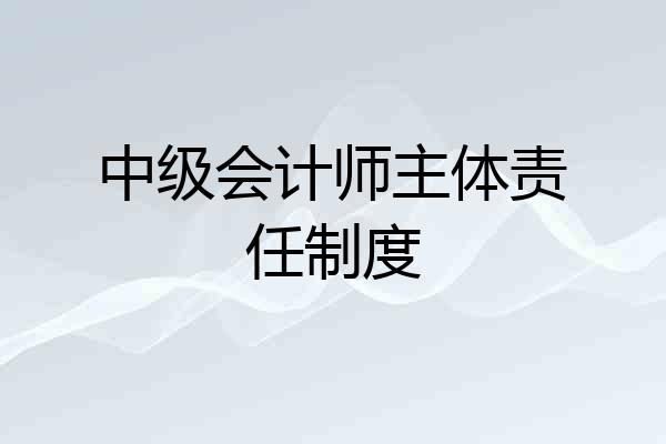 中级会计师主体责任制度