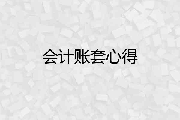 会计账套心得