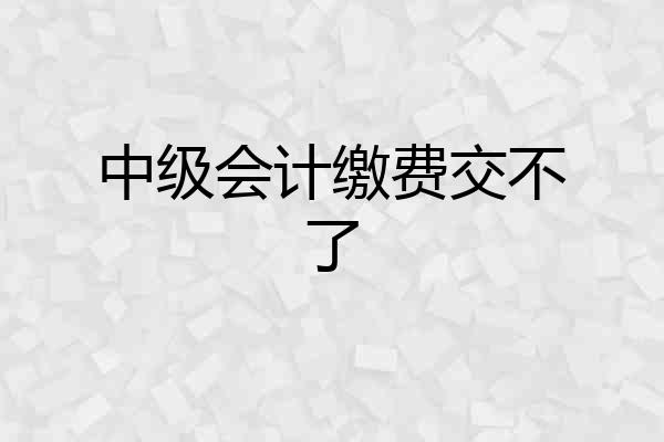 中级会计缴费交不了