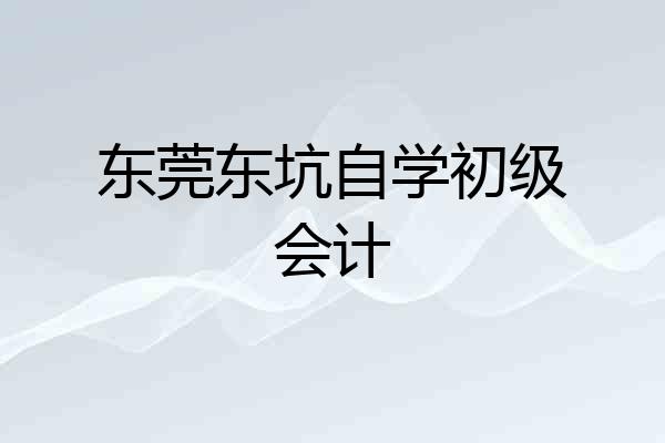 东莞东坑自学初级会计