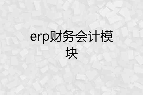 erp财务会计模块