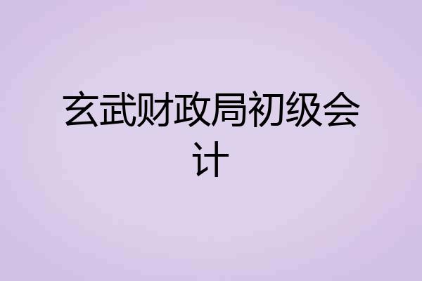 玄武财政局初级会计