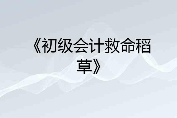 《初级会计救命稻草》