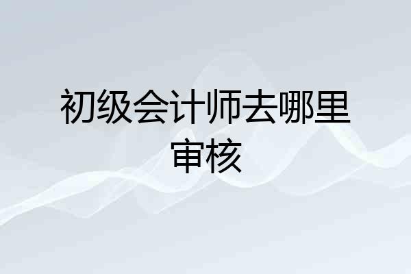 初级会计师去哪里审核