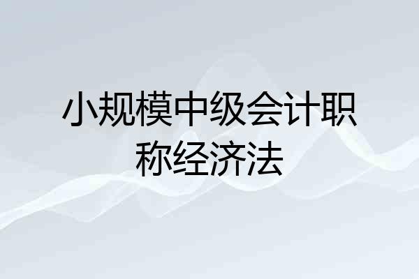 小规模中级会计职称经济法