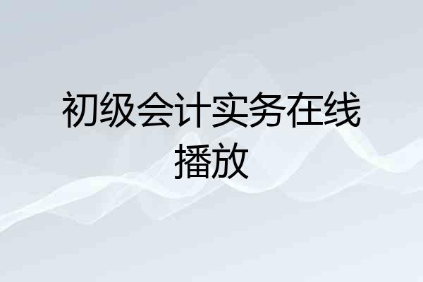 初级会计实务在线播放