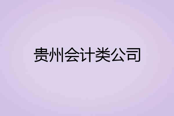 贵州会计类公司