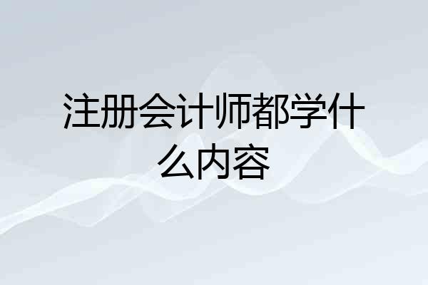 注册会计师都学什么内容