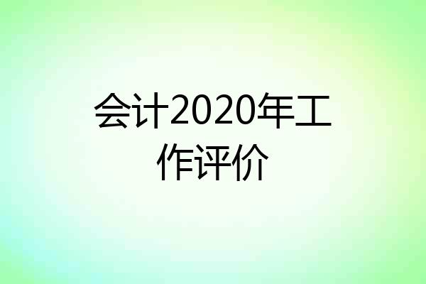 会计2020年工作评价
