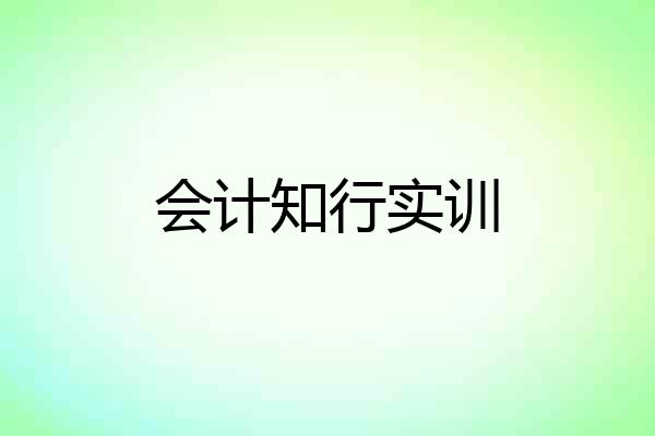 会计知行实训