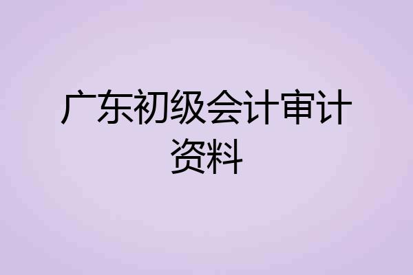 广东初级会计审计资料