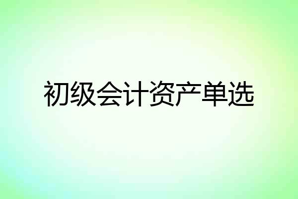 初级会计资产单选