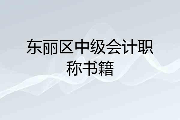 东丽区中级会计职称书籍
