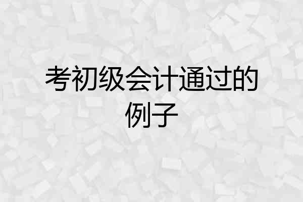 考初级会计通过的例子