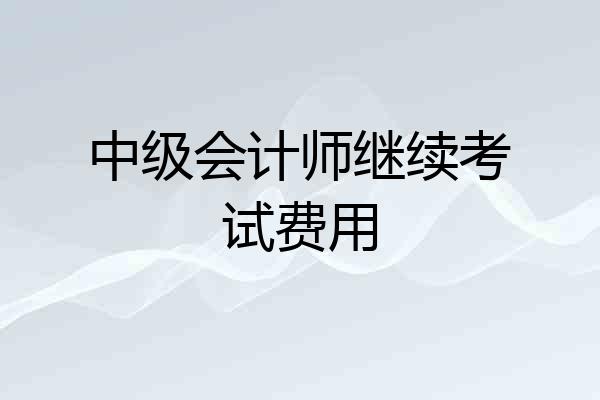 中级会计师继续考试费用