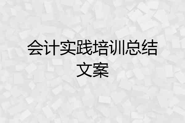 会计实践培训总结文案