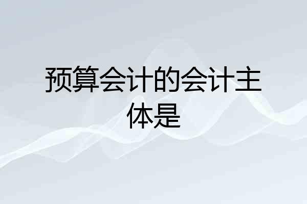 预算会计的会计主体是