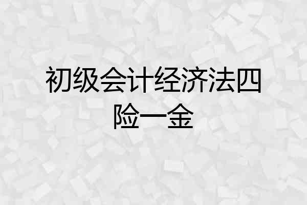 初级会计经济法四险一金