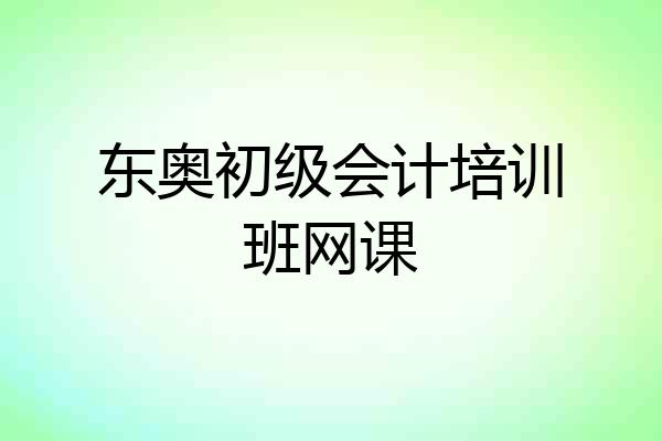 东奥初级会计培训班网课