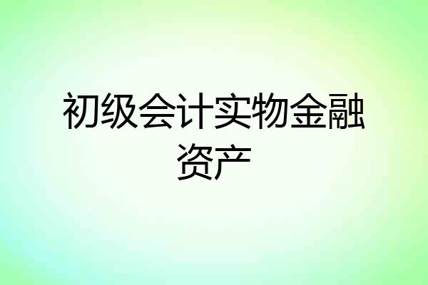 初级会计实物金融资产