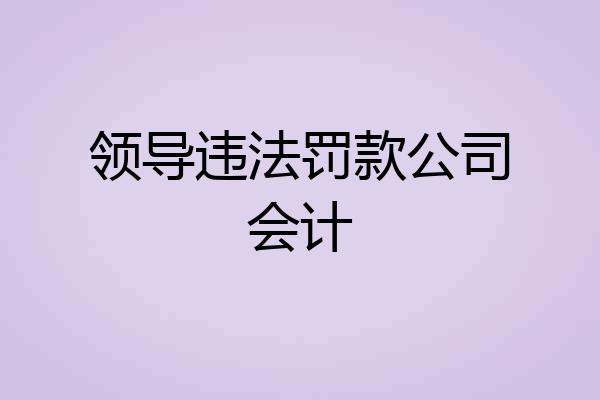 领导违法罚款公司会计
