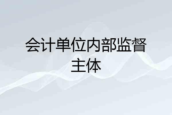 会计单位内部监督主体
