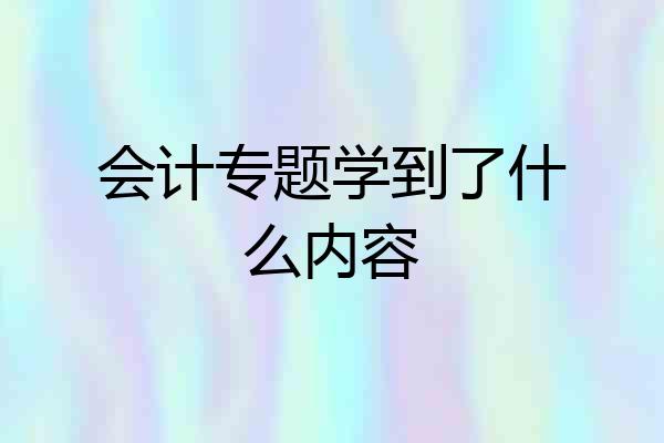 会计专题学到了什么内容