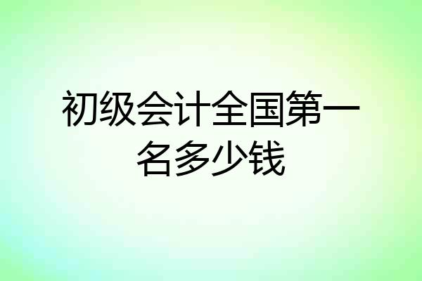 初级会计全国第一名多少钱
