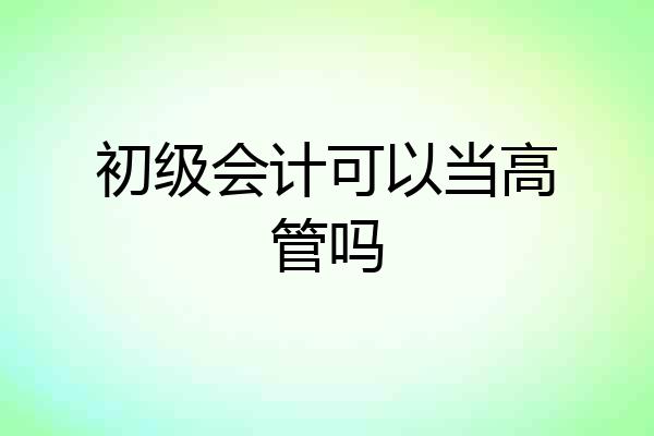 初级会计可以当高管吗