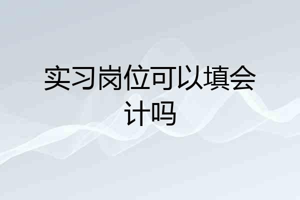实习岗位可以填会计吗