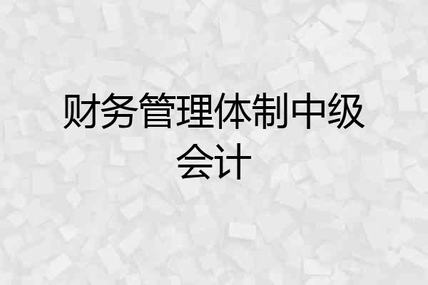 财务管理体制中级会计