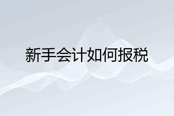 新手会计如何报税