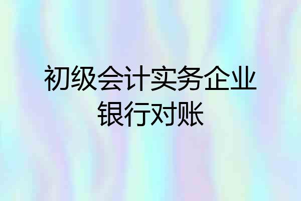 初级会计实务企业银行对账
