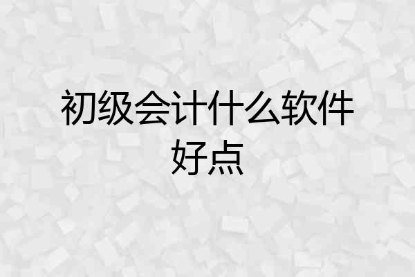 初级会计什么软件好点