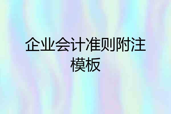 企业会计准则附注模板
