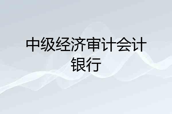 中级经济审计会计银行