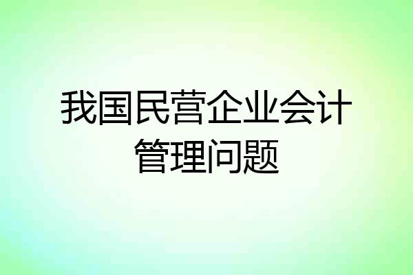 我国民营企业会计管理问题