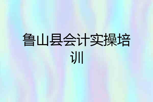 鲁山县会计实操培训