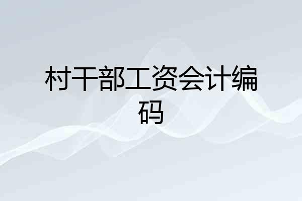 村干部工资会计编码