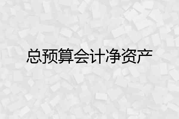 总预算会计净资产